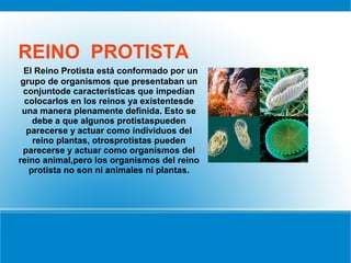 REINO PROTISTA
El Reino Protista está conformado por un
grupo de organismos que presentaban un
conjuntode características que impedían
colocarlos en los reinos ya existentesde
una manera plenamente definida. Esto se
debe a que algunos protistaspueden
parecerse y actuar como individuos del
reino plantas, otrosprotistas pueden
parecerse y actuar como organismos del
reino animal,pero los organismos del reino
protista no son ni animales ni plantas.
 