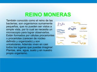 REINO MONERAS
También conocido como el reino de las
bacterias; son organismos sumamente
pequeños, que no pueden ser vistos a
simple vista, por lo cual se necesita un
microscopio para lograr observarlos.
Están formados por células procariontes
o procariotas (carecen de núcleo
definido y organizado) y son
unicelulares. Además viven en casi
todos los lugares que puedas imaginar:
Plantas, aire, agua, suelo y en nuestro
propio organismo.
 