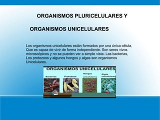 Los organismos unicelulares están formados por una única célula,
Que es capaz de vivir de forma independiente. Son seres vivos
microscópicos y no se pueden ver a simple vista. Las bacterias,
Los protozoos y algunos hongos y algas son organismos
Unicelulares.
ORGANISMOS UNICELULARES
ORGANISMOS PLURICELULARES Y
 