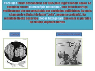 As células foram descobertas em 1665 pelo inglês Robert Hooke. Ao
examinar em um microscópio rudimentar, uma fatia de cortiça,
verificou que ela era constituída por cavidades poliédricas, às quais
chamou de células (do latim "cella", pequena cavidade). Na
realidade Hooke observou blocos hexagonais que eram as paredes
de células vegetais mortas.
MICROSCÓPIO DE HOOKECORTIÇA
 