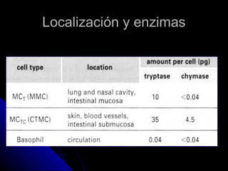 Localización y enzimas
 