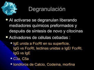 Degranulación
 Al
   activarse se degranulan liberando
 mediadores químicos preformados y
 después de síntesis de novo y citocinas
 Activadores      de células cebadas :
   IgE    unida a FcεRI en su superficie,
       IgG vs FcεRI, lectinas unidas a IgE/ FcεRI,
       IgG vs IgE
   C3a,    C5a
   Ionóforos     de Calcio, Codeína, morfina
 