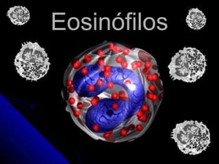 Eosinófilos
 