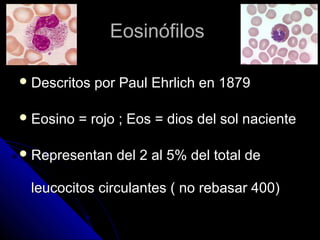Eosinófilos

 Descritos   por Paul Ehrlich en 1879

 Eosino   = rojo ; Eos = dios del sol naciente

 Representan    del 2 al 5% del total de

 leucocitos circulantes ( no rebasar 400)
 