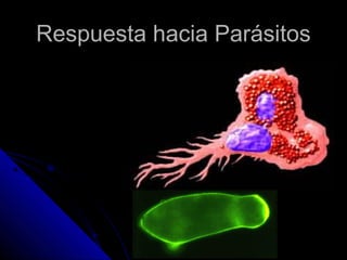 Respuesta hacia Parásitos
 