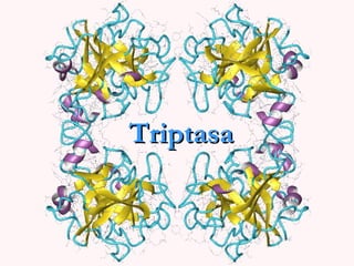 Triptasa
 