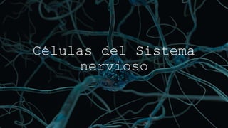 Células del Sistema
nervioso
 