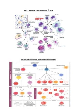 CÉLULAS DO SISTEMA IMUNOLÓGICO
Formação das células do Sistema Imunológico
 