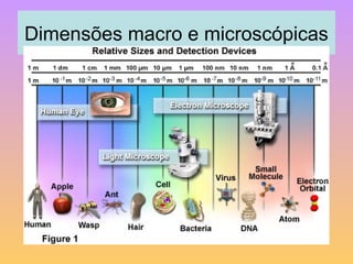 Dimensões macro e microscópicas 
 