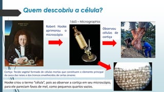 Quem descobriu a célula?
Cortiça: Tecido vegetal formado de células mortas que constituem o elemento principal
da casca das raízes e dos troncos envelhecidos de certas árvores
1665 – Micrographia
Robert Hooke
aprimorou o
microscópio
Observou
células de
cortiça
Hooke criou o termo “célula”, pois ao observar a cortiça em seu microscópio,
para ele pareciam favos de mel, como pequenos quartos vazios.
 