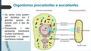 Organismos procariontes e eucariontes
▪ Os seres vivos podem
ser divididos em 2
grandes grupos de
acordo com o tipo de
célula;
▪ Procarionte = não
apresenta membrana
nuclear (carioteca)
▪ Eucarionte = possui
membrana nuclear
 