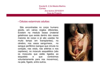  Células estaminais adultas;