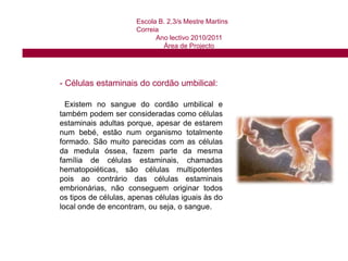  Células estaminais do cordão umbilical;