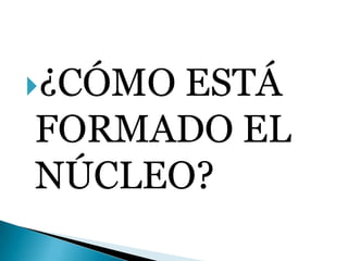 ¿CÓMO ESTÁ FORMADO EL NÚCLEO?