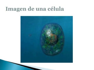 Imagen de una célula