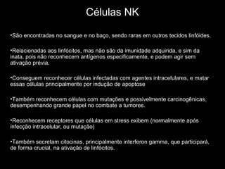 Células NK
•São encontradas no sangue e no baço, sendo raras em outros tecidos linfóides.
•Relacionadas aos linfócitos, mas não são da imunidade adquirida, e sim da
inata, pois não reconhecem antígenos especificamente, e podem agir sem
ativação prévia.
•Conseguem reconhecer células infectadas com agentes intracelulares, e matar
essas células principalmente por indução de apoptose
•Também reconhecem células com mutações e possivelmente carcinogênicas,
desempenhando grande papel no combate a tumores.
•Reconhecem receptores que células em stress exibem (normalmente após
infecção intracelular, ou mutação)
•Também secretam citocinas, principalmente interferon gamma, que participará,
de forma crucial, na ativação de linfócitos.
 