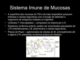 Sistema Imune de Mucosas
• A superfície das mucosas do TGI e do trato respiratório possuem
linfócitos e células fagocíticas com a função de defender o
organismo de antígenos inalados ou ingeridos
• Linfócitos T intra-epiteliais – compostos na maioria por LTc
• Dispersos na lâmina própria, podem ser encontradas populações de
LTh (interfoliculares), LB, plasmócitos e células fagocíticas.
• Placas de Peyer – aglomerados de células do SI, principalmente LB
e alguns LTh, presentes na lamina própria do intestino
 