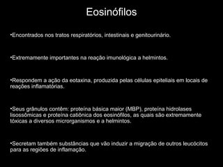 Eosinófilos
•Encontrados nos tratos respiratórios, intestinais e genitourinário.

•Extremamente importantes na reação imunológica a helmintos.

•Respondem a ação da eotaxina, produzida pelas células epiteliais em locais de
reações inflamatórias.

•Seus grânulos contêm: proteína básica maior (MBP), proteína hidrolases
lisossômicas e proteína catiônica dos eosinófilos, as quais são extremamente
tóxicas a diversos microrganismos e a helmintos.

•Secretam também substâncias que vão induzir a migração de outros leucócitos
para as regiões de inflamação.

 