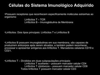Células do Sistema Imunológico Adquirido
•Possuem receptores que reconhecem especificamente moléculas estranhas ao
organismo
Linfócitos T – TCR
Linfócitos B – Imunoglobulina de Membrana

•Linfócitos: Dois tipos principais: Linfócitos T e Linfócitos B

•Linfócitos B possuem imunoglobulinas em sua membrana, são capazes de
produzirem anticorpos após serem ativados, e também podem reconhecer,
processar e apresentar antígenos aos linfócitos T. Marcadores celulares CD19 e
CD21.

•Linfócitos T – Divididos em duas subpopulações principais:
Linfócitos T auxiliares – possuem marcador celular CD4
Linfócitos T citotóxicos – possuem marcador celular CD8
Todos linfócitos T possuem marcador celular CD3

 