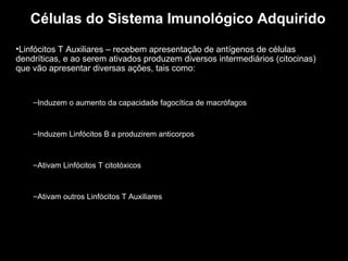 Células do Sistema Imunológico Adquirido
•Linfócitos T Auxiliares – recebem apresentação de antígenos de células
dendríticas, e ao serem ativados produzem diversos intermediários (citocinas)
que vão apresentar diversas ações, tais como:

–Induzem o aumento da capacidade fagocítica de macrófagos

–Induzem Linfócitos B a produzirem anticorpos

–Ativam Linfócitos T citotóxicos

–Ativam outros Linfócitos T Auxiliares

 