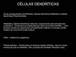 CÉLULAS DENDRÍTICAS
•Duas subpopulações identificadas: Células Dendríticas Mielóides e Células
Dendríticas Plasmocitóides

•Mielóides: Células Dendríticas clássicas, responsáveis pela ativação dos
Linfócitos T. Encontram-se distribuídas por todos os tecidos linfóides, , e em
diversos tecidos do organismos principalmente cutâneo e mucosas, aonde
residem de uma forma ainda imatura.

•Pele – células de Langerhans

•Plasmocitóides – Distribuídas em diversos órgãos linfóides, mas em menor
número do que as mielóides. Têm a função de combater infecções virais.

 
