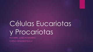 Células Eucariotas
y Procariotas
NOMBRE: JOSELYN RAMÍREZ
CURSO: SEGUNDO B.G.U
 