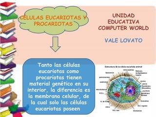 CÉLULAS EUCARIOTAS Y
PROCARIOTAS
Tanto las células
eucariotas como
procariotas tienen
material genético en su
interior, la diferencia es
la membrana celular, de
la cual solo las células
eucariotas poseen
UNIDAD
EDUCATIVA
COMPUTER WORLD
VALE LOVATO
 