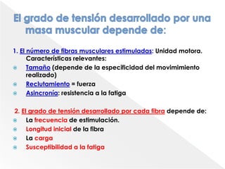 La sarcómera es la unidad estructural y funcional del músculo