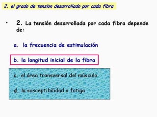 Teoría del filamento deslizante.Fuente: Guyton, A: Bases fisiológicas de la práctica médica. (2005)