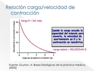 Contracción muscular o sacudida