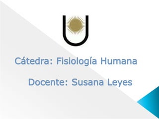 Cátedra: Fisiología Humana Docente: Susana Leyes 