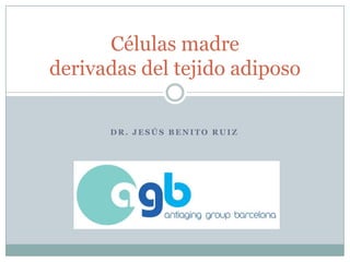 Dr. Jesús Benito Ruiz Células madrederivadas del tejido adiposo 