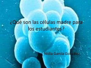 ¿Qué son las células madre para
       los estudiantes?



              Nidia García González
 