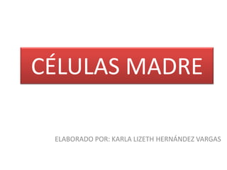 CÉLULAS MADRE
ELABORADO POR: KARLA LIZETH HERNÁNDEZ VARGAS
 
