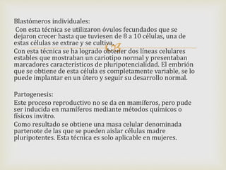 
Blastómeros individuales:
Con esta técnica se utilizaron óvulos fecundados que se
dejaron crecer hasta que tuviesen de 8 a 10 células, una de
estas células se extrae y se cultiva.
Con esta técnica se ha logrado obtener dos líneas celulares
estables que mostraban un cariotipo normal y presentaban
marcadores característicos de pluripotencialidad. El embrión
que se obtiene de esta célula es completamente variable, se lo
puede implantar en un útero y seguir su desarrollo normal.
Partogenesis:
Este proceso reproductivo no se da en mamíferos, pero pude
ser inducida en mamíferos mediante métodos químicos o
físicos invitro.
Como resultado se obtiene una masa celular denominada
partenote de las que se pueden aislar células madre
pluripotentes. Esta técnica es solo aplicable en mujeres.
 
