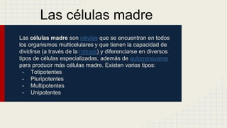 Las células madre
Las células madre son células que se encuentran en todos
los organismos multicelulares y que tienen la capacidad de
dividirse (a través de la mitosis) y diferenciarse en diversos
tipos de células especializadas, además de autorrenovarse
para producir más células madre. Existen varios tipos:
- Totipotentes
- Pluripotentes
- Multipotentes
- Unipotentes
 