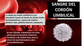 SANGRE DEL
CORDÓN
UMBILICALLa sangre de cordón umbilical es una
abundante fuente de fuente de células madre
hematopoyéticas, capaces de originar:
glóbulos rojos, glóbulos blancos y plaquetas.
Se han utilizado tratamiento con estas
células para la leucemia, trastornos
hemáticos y de medula ósea, para el
cáncer (en quimioterapias) y para
inmunodeficiencias.
 