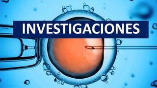 INVESTIGACIONES
 