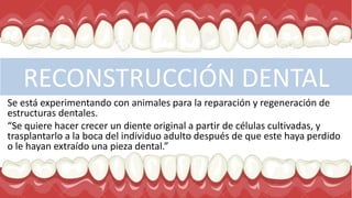 RECONSTRUCCIÓN DENTAL
Se está experimentando con animales para la reparación y regeneración de
estructuras dentales.
“Se quiere hacer crecer un diente original a partir de células cultivadas, y
trasplantarlo a la boca del individuo adulto después de que este haya perdido
o le hayan extraído una pieza dental.”
 