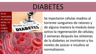 DIABETES
Se inyectaron células madres al
torrente sanguíneo de ratones y
de alguna manera la medula ósea
activo la regeneración de células;
2 semanas después los síntomas
de la diabetes se invirtieron y los
niveles de azúcar e insulina se
normalizaron.
Al ser
inyectadas
en ratones
sanos, no
hubo
ningún
cambio.
 