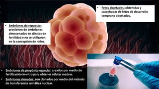 • Embriones de repuesto:
provienen de embriones
almacenados en clínicas de
fertilidad y no se utilizaron
en la concepción de niños.
• Embriones de propósito especial: creados por medio de
fertilización in-vitro para obtener células madres.
• Embriones clonados: son clonados por medio del método
de transferencia somática nuclear.
• Fetos abortados: obtenidas y
cosechadas de fetos de desarrollo
temprano abortados.
 