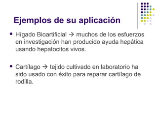 Ejemplos de su aplicación


Hígado Bioartificial  muchos de los esfuerzos
en investigación han producido ayuda hepática
usando hepatocitos vivos.



Cartílago  tejido cultivado en laboratorio ha
sido usado con éxito para reparar cartílago de
rodilla.

 