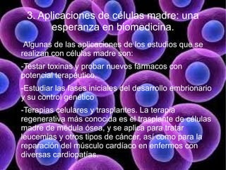 3. Aplicaciones de células madre: una
       esperanza en biomedicina.
 Algunas de las aplicaciones de los estudios que se
realizan con células madre son:
-Testar toxinas y probar nuevos fármacos con
potencial terapéutico.
-Estudiar las fases iniciales del desarrollo embrionario
y su control genético
-Terapias celulares y trasplantes. La terapia
regenerativa más conocida es el trasplante de células
madre de médula ósea, y se aplica para tratar
leucemias y otros tipos de cáncer, así como para la
reparación del músculo cardíaco en enfermos con
diversas cardiopatías.
 