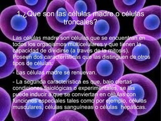 1.¿Que son las células madre o células
              troncales?

Las células madre son células que se encuentran en
todos los organismos multicelulares y que tienen la
capacidad de dividirse (a través de la mitosis).
Poseen dos características que las distinguen de otros
tipos de células:
- Las células madre se renuevan.
- La segunda característica es que, bajo ciertas
condiciones fisiológicas o experimentales, se las
puede inducir a que se conviertan en células con
funciones especiales tales como por ejemplo, células
musculares, células sanguíneas o células hepáticas.
 