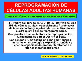101
I-H. Park y col. (grupo de G.Q. Daley) Derivan células
iPS de células adultas, especialmente fibroblastos
de fetos neonatos y sujetos adultos, utilizando los
cuatro mismo genes reprogramadores.
Comprueban que los factores de reprogramación
fundamentales son el Oct-4 y el Sox2.
Las células iPS se asemejan a las embrionarias
humanas en morfología y expresión genética y
tienen la capacidad de producir teratomas en
ratones inmunodeficientes
CONFIRMACIÓN DE LAS EXPERIENCIAS DE YAMANAKA Y THOMSON
REPROGRAMACIÓN DE
CÉLULAS ADULTAS HUMANAS
I-H. Park. Nature 451; 141-146, 2008
 