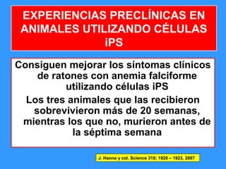 107
Consiguen mejorar los síntomas clínicos
de ratones con anemia falciforme
utilizando células iPS
Los tres animales que las recibieron
sobrevivieron más de 20 semanas,
mientras los que no, murieron antes de
la séptima semana
EXPERIENCIAS PRECLÍNICAS EN
ANIMALES UTILIZANDO CÉLULAS
iPS
J. Hanna y col. Science 318; 1920 – 1923, 2007
 