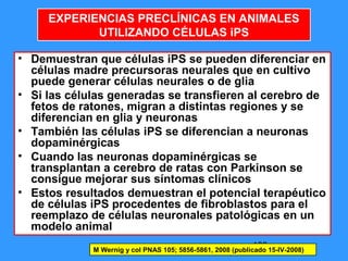 108
• Demuestran que células iPS se pueden diferenciar en
células madre precursoras neurales que en cultivo
puede generar células neurales o de glia
• Si las células generadas se transfieren al cerebro de
fetos de ratones, migran a distintas regiones y se
diferencian en glia y neuronas
• También las células iPS se diferencian a neuronas
dopaminérgicas
• Cuando las neuronas dopaminérgicas se
transplantan a cerebro de ratas con Parkinson se
consigue mejorar sus síntomas clínicos
• Estos resultados demuestran el potencial terapéutico
de células iPS procedentes de fibroblastos para el
reemplazo de células neuronales patológicas en un
modelo animal
M Wernig y col PNAS 105; 5856-5861, 2008 (publicado 15-IV-2008)
EXPERIENCIAS PRECLÍNICAS EN ANIMALES
UTILIZANDO CÉLULAS iPS
 