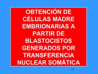 11
OBTENCIÓN DE
CÉLULAS MADRE
EMBRIONARIAS A
PARTIR DE
BLASTOCISTOS
GENERADOS POR
TRANSFERENCIA
NUCLEAR SOMÁTICA
 