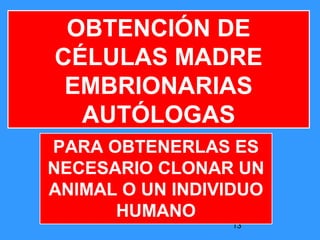 13
PARA OBTENERLAS ES
NECESARIO CLONAR UN
ANIMAL O UN INDIVIDUO
HUMANO
OBTENCIÓN DE
CÉLULAS MADRE
EMBRIONARIAS
AUTÓLOGAS
 