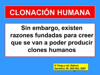19
CLONACIÓN HUMANA
Sin embargo, existen
razones fundadas para creer
que se van a poder producir
clones humanos
X Yang y col. Nature
Genetics 39; 295-302, 2007
 